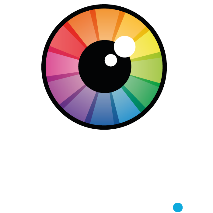 Logo ALV Retina